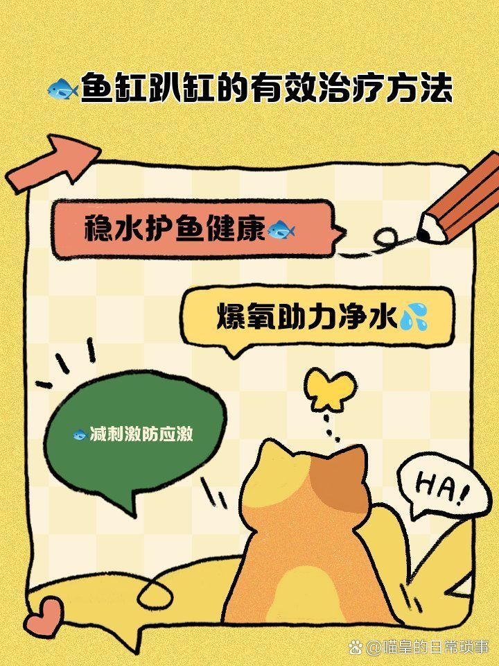 有哪些方法可以救活趴缸的魚，有哪些方法可以救活趴缸的魚,魚趴缸不是“偷懶”，而是身體在求救