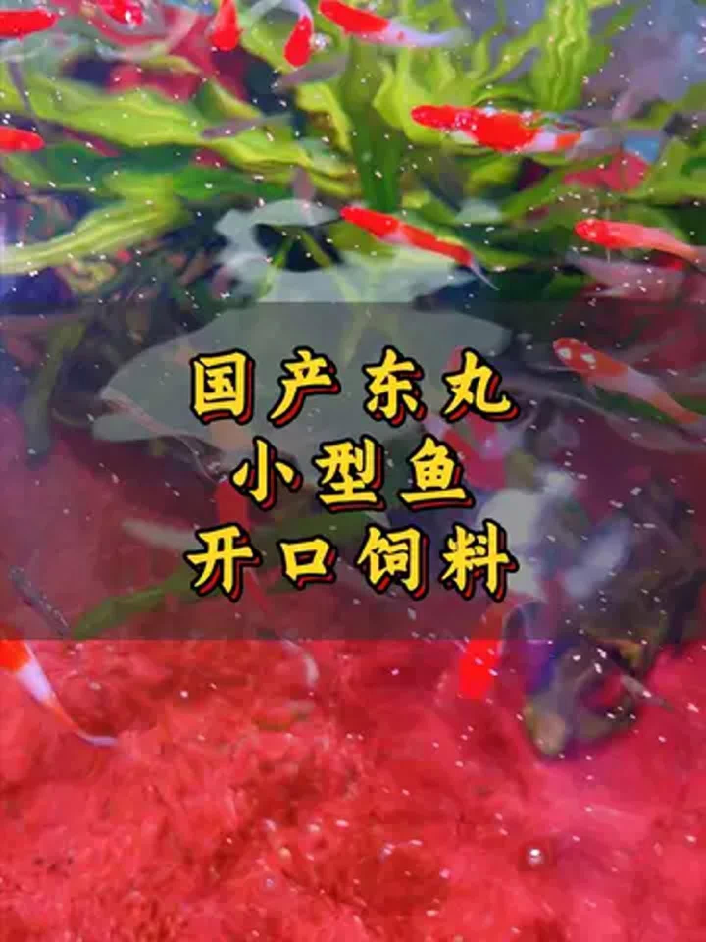 國產(chǎn)魚飼料哪個牌子好，國產(chǎn)魚飼料蛋白質含量達42%慮多個因素選擇