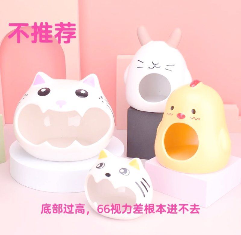 六角龍魚幼體如何飼養管理，六角龍魚幼體飼養管理