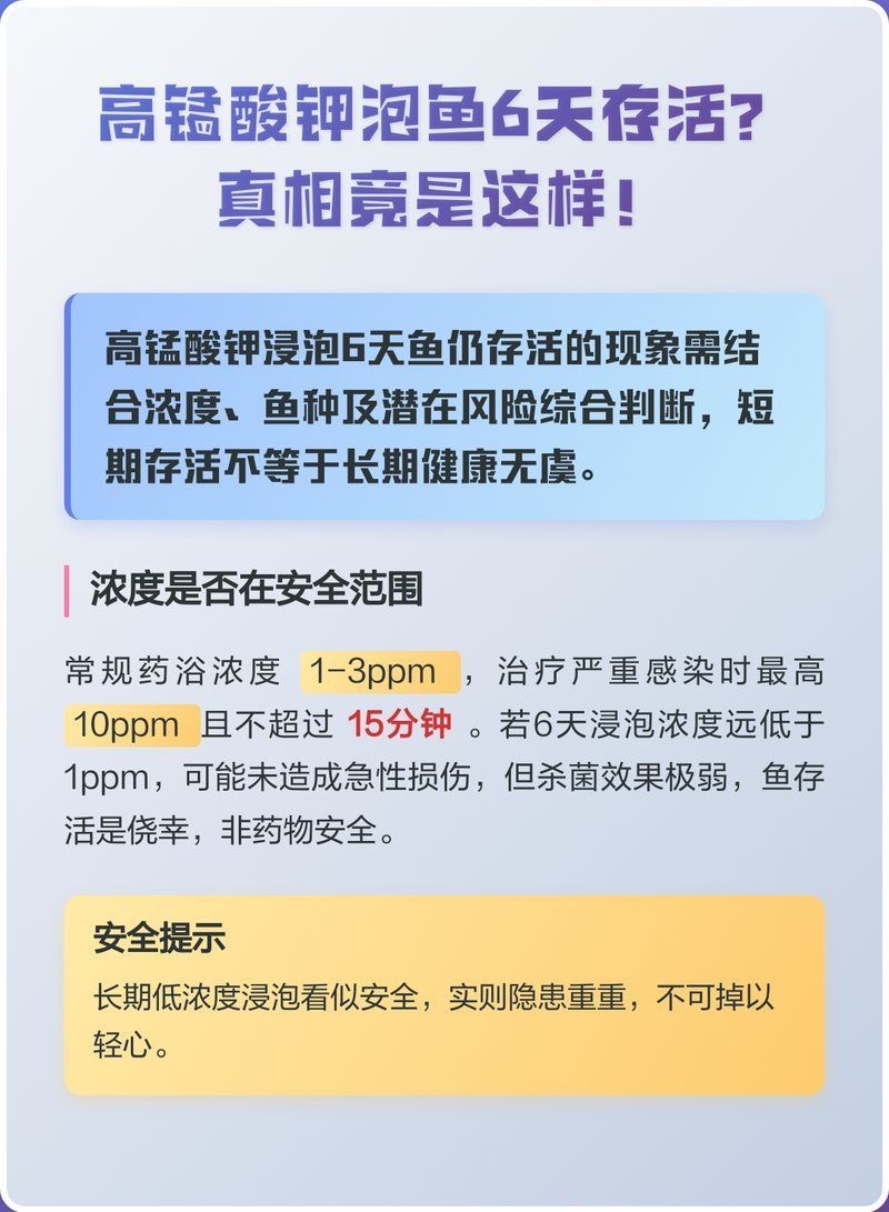 高錳酸鉀治療錦鯉爛尾有副作用嗎，高錳酸鉀治療錦鯉爛尾有副作用嗎高錳酸鉀泡魚6天存活真相