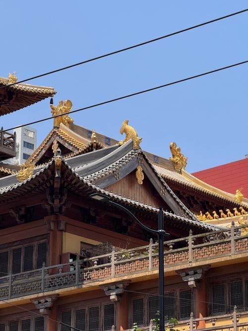 靜安寺有沒有龍魚展示？，靜安寺周邊春節光影打卡點的詳細路線圖靜安寺有沒有龍魚展示