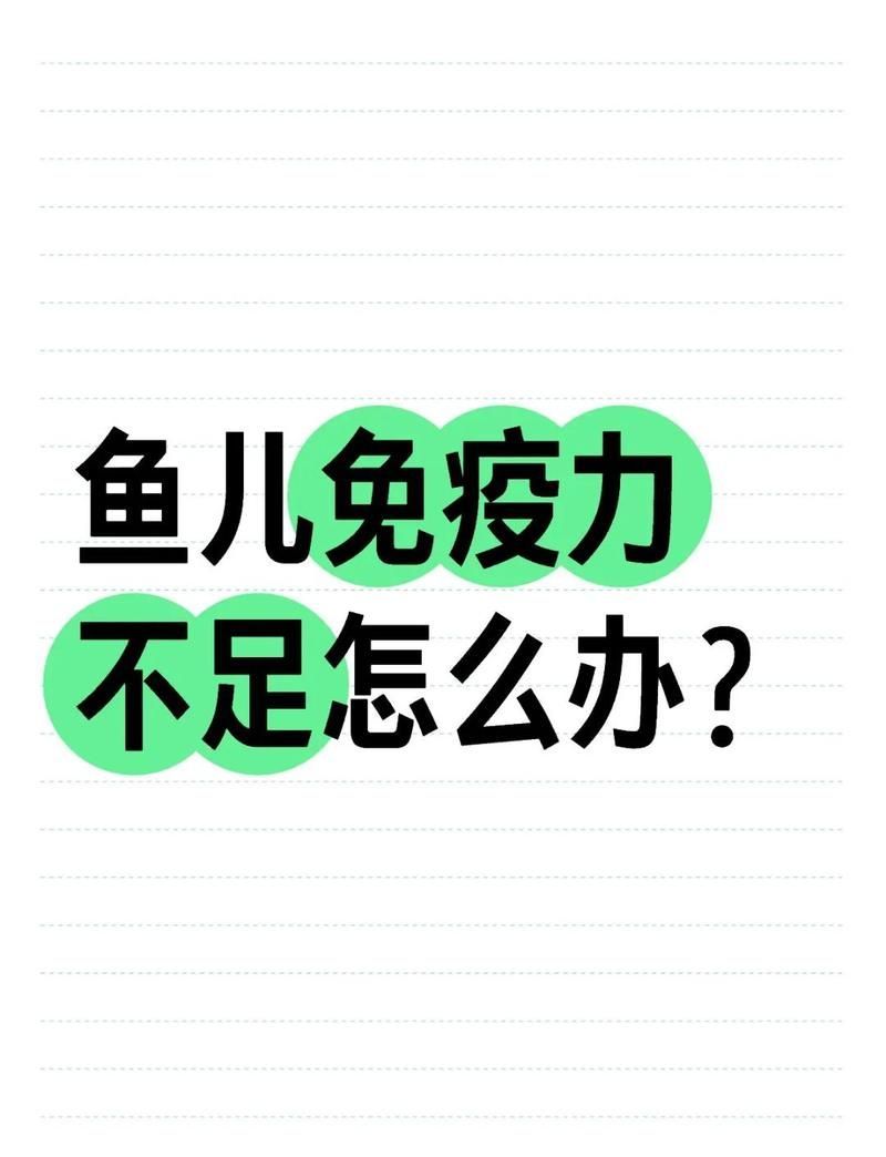 如何提升魚(yú)體自身抵抗力，提升魚(yú)體自身抵抗力