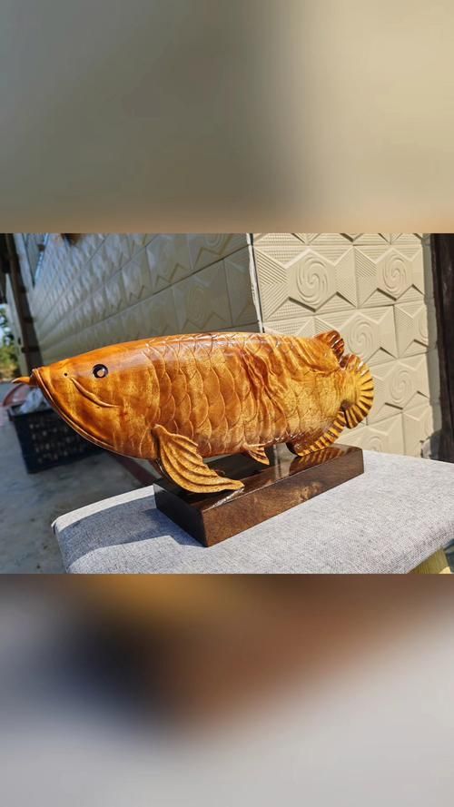 屏南龍魚有哪些獨特的品種？，《屏南龍魚》