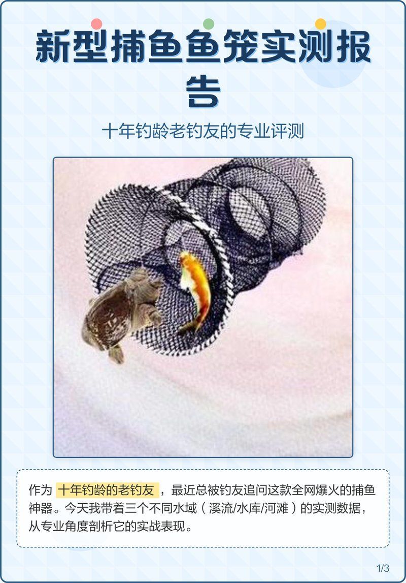 魚籠哪個品牌最好，高性價比魚籠選購清單