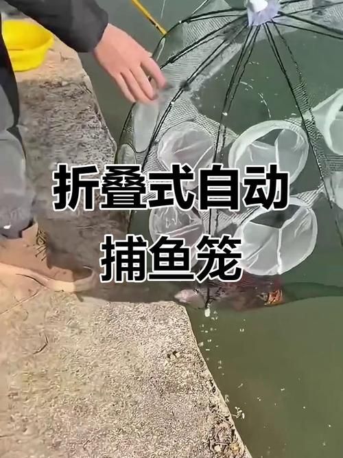 魚籠哪個品牌最好，高性價比魚籠選購清單