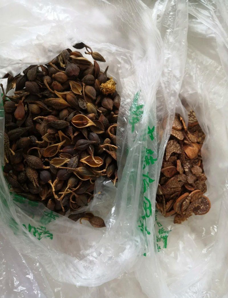 能推薦一些治療戰車紅龍魚病的中成藥嗎？，治療戰車紅龍魚病的中成藥