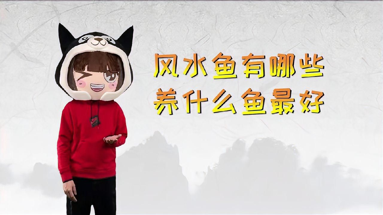 龍魚擋災有科學依據嗎