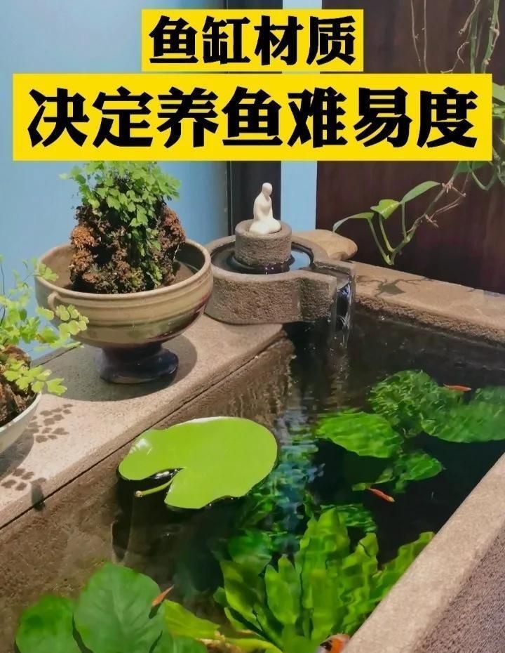 龍魚魚缸最佳材質是什么，魚缸材質大揭秘