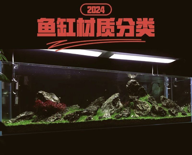 龍魚魚缸最佳材質是什么，魚缸材質大揭秘