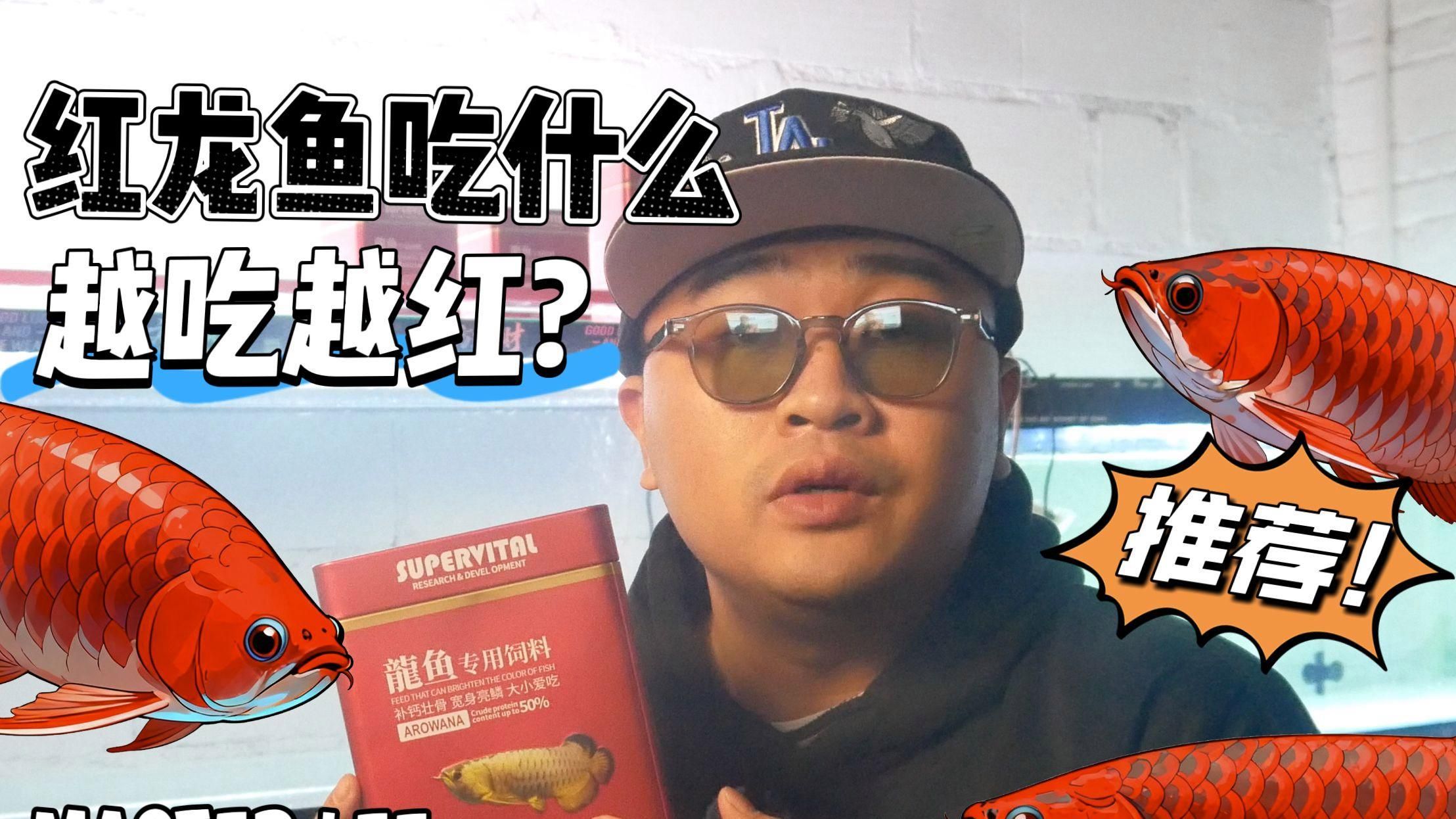 紅龍魚顏色突然變淺，應(yīng)該如何調(diào)整喂食策略？，紅龍魚顏色變淺不全是吃的問題，