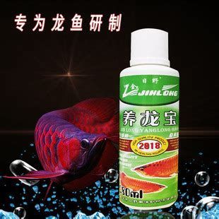 龍魚爛鰓最簡單三個步驟，龍魚爛鰓最簡單三個步驟，每一步都至關重要，