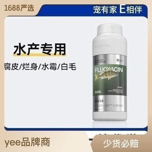龍魚爛鰓最簡單三個步驟，龍魚爛鰓最簡單三個步驟，每一步都至關重要，