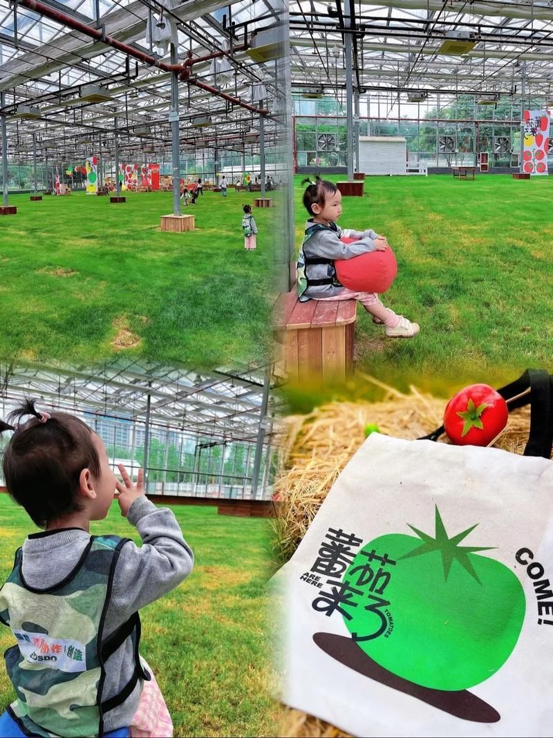 這些養殖場中哪家口碑最好？，哪家養殖場與用戶口碑最佳？