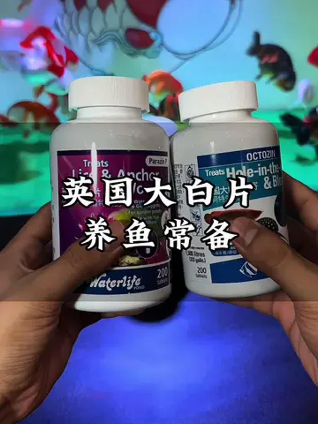 如何判斷龍魚是否需要大白片？，———科學診斷與用藥決策指南
