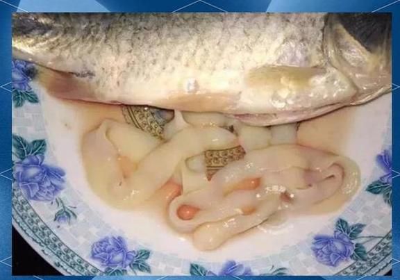 如何判斷魚是否有內(nèi)臟寄生蟲，如何判斷魚是否有內(nèi)臟寄生蟲調(diào)用工具arxiv論文助手