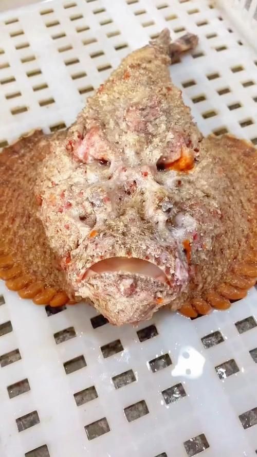 給我一張石龍魚的圖片，“石龍魚”并非標準生物學名稱