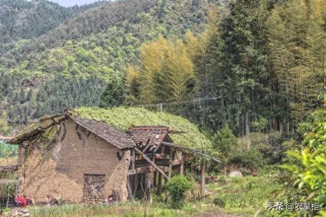 如何判斷龍頭是否朝北，如何判斷龍頭朝北