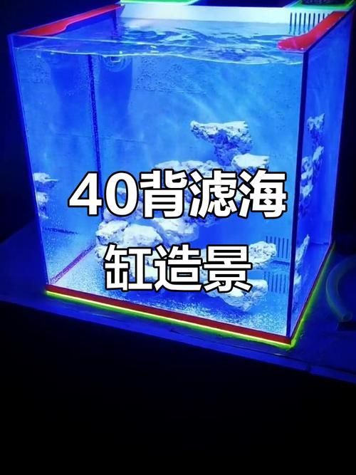 如何選擇適合的水族箱過濾系統