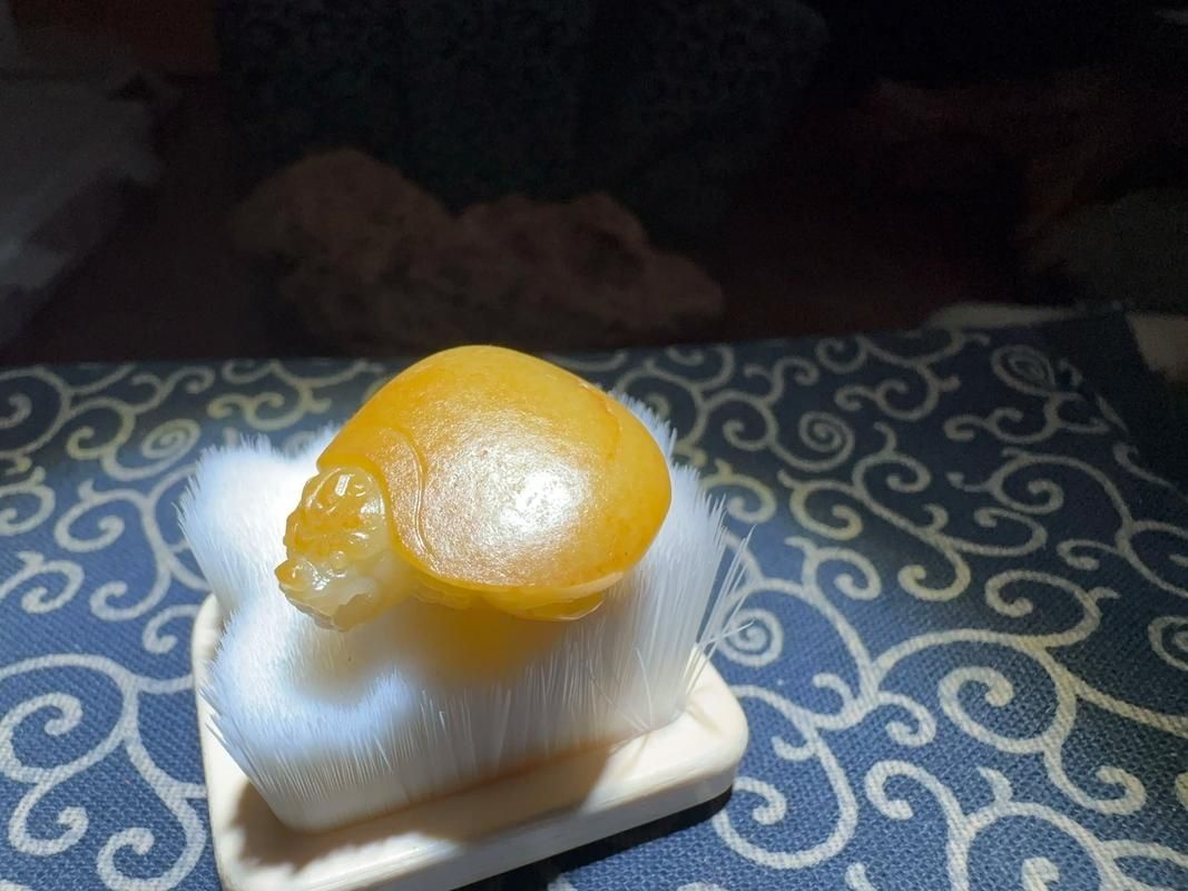 龍龜材質有哪些種類，龍龜材質多樣，其材質多樣，主要包括以下幾種材質的龍龜