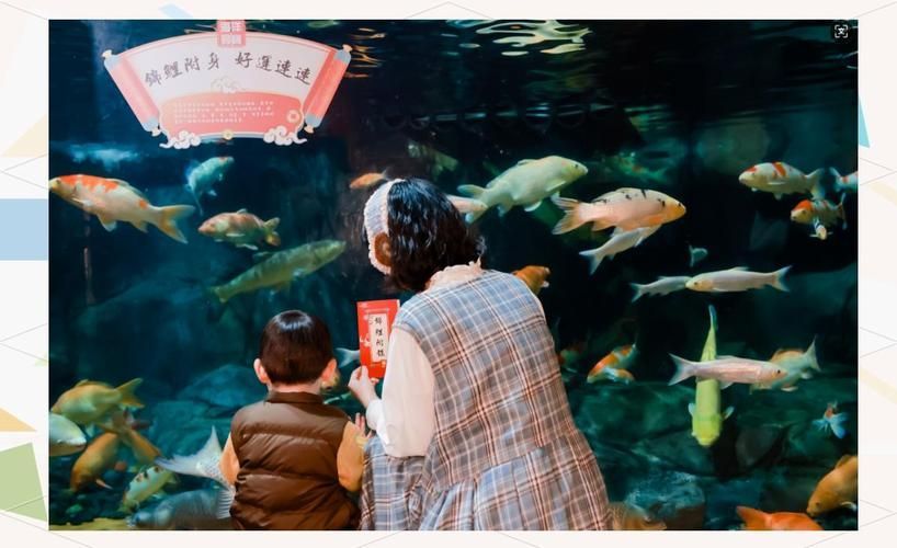 上海海洋水族館還有哪些限時展覽