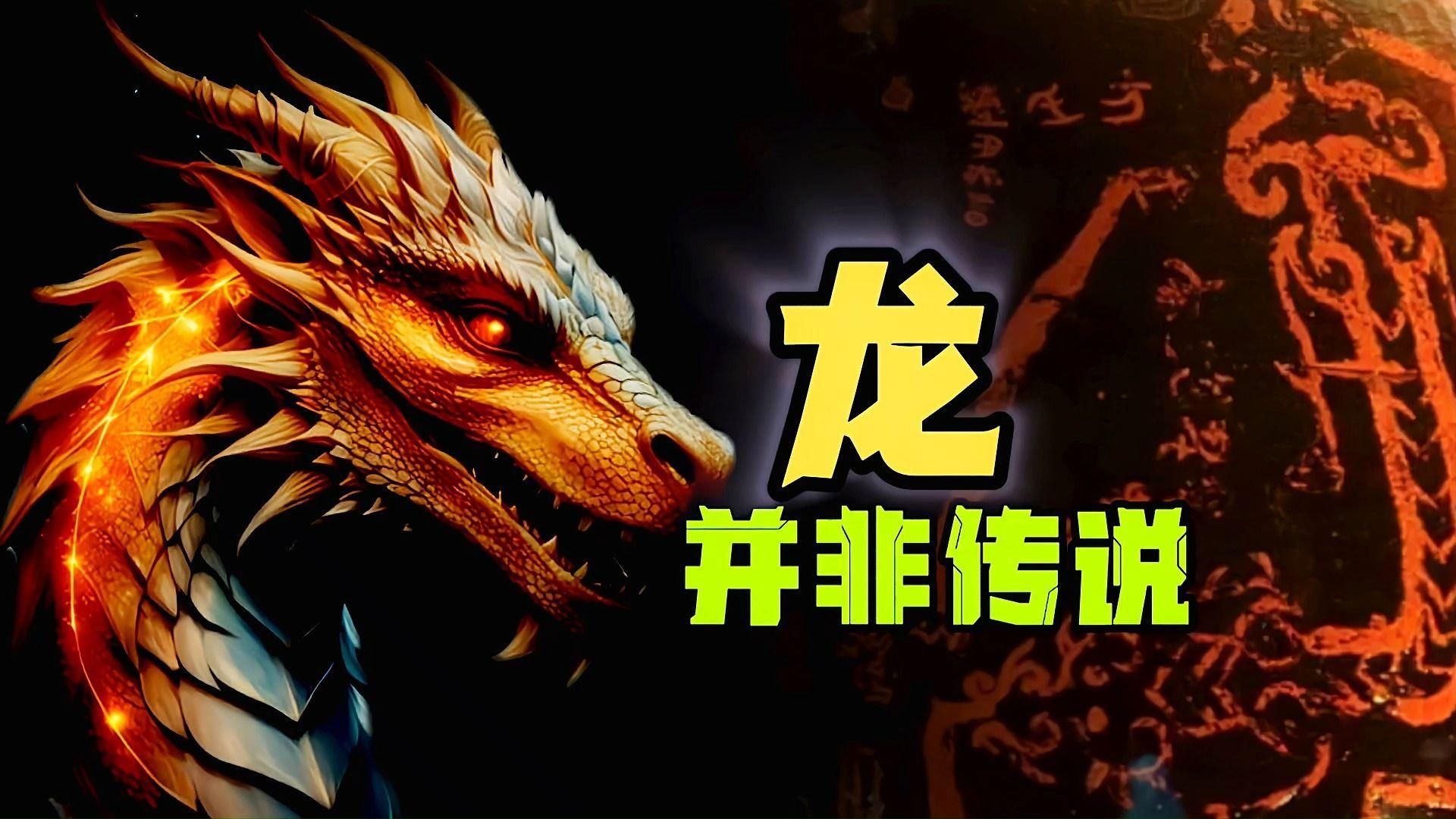 能否給出龍文化起源的具體證據，中國龍文化的起源可以追溯到中國古代的神話傳說和圖騰崇拜