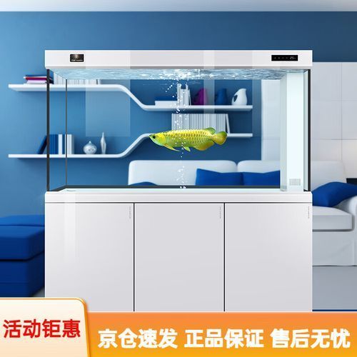 可麗愛和閩江哪個更好？，可麗愛和閩江哪個好