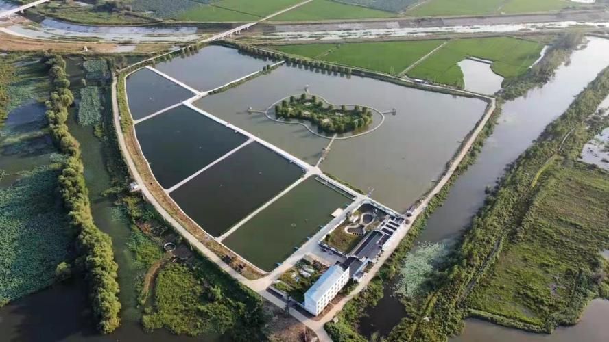 肥西龍魚養殖基地有哪些特色項目，肥西龍魚養殖基地有哪些特色項目肥西龍魚養殖基地