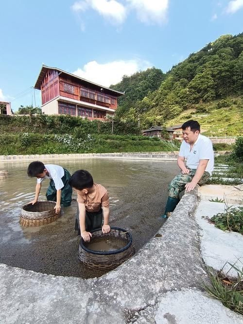 印江自治縣未來有計劃舉辦龍魚活動嗎，印江自治縣未來有計劃舉辦“龍魚活動”嗎？