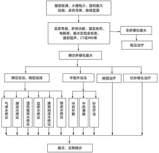 早期腹水病如何治療，早期腹水病治療流程圖
