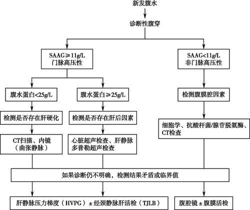 早期腹水病如何治療，早期腹水病治療流程圖