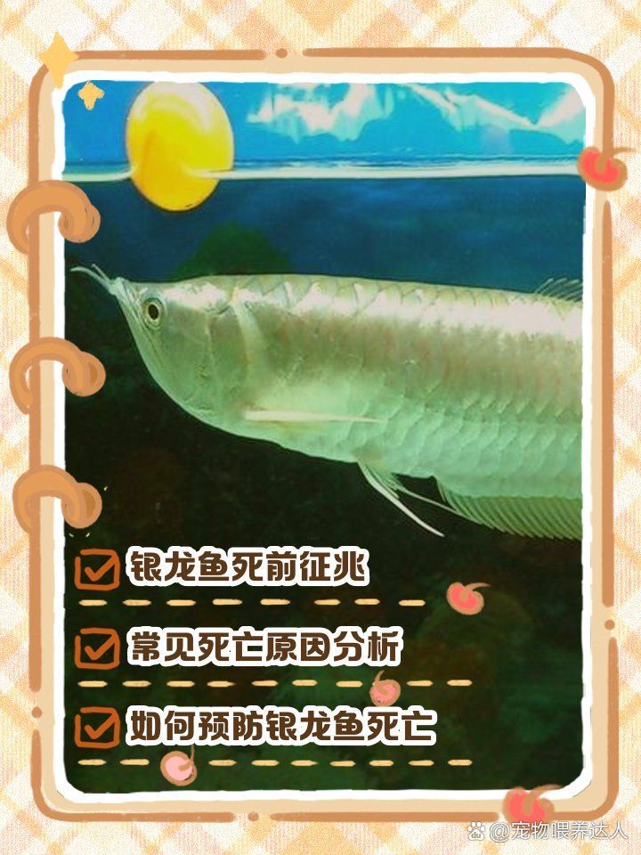 有哪些常見的銀龍魚疾病，銀龍魚常見的五種疾病