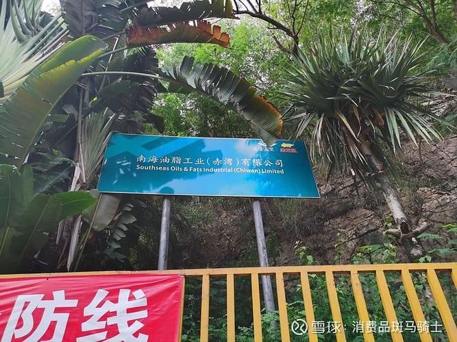請提供金龍魚廣西工廠的歷史圖片，金龍魚廣西工廠歷史圖片