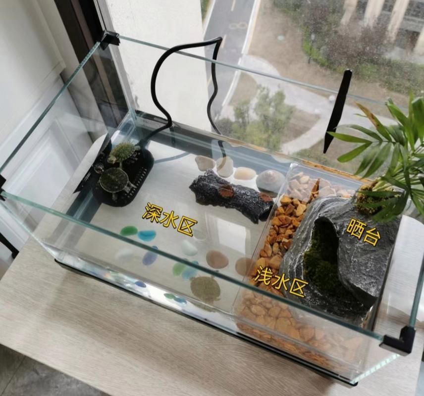 能否提供一張更詳細的飼養缸布置圖，一張詳細的飼養缸布置圖可以提供一張更詳細的飼養缸布置圖