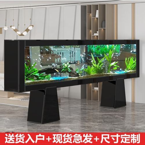 龍魚專用缸品牌推薦，備受推崇的龍魚專用缸品牌推薦，龍魚專用缸品牌推薦