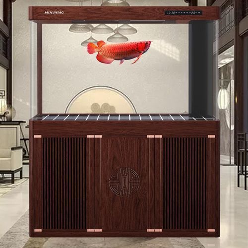 龍魚專用缸品牌推薦，備受推崇的龍魚專用缸品牌推薦，龍魚專用缸品牌推薦
