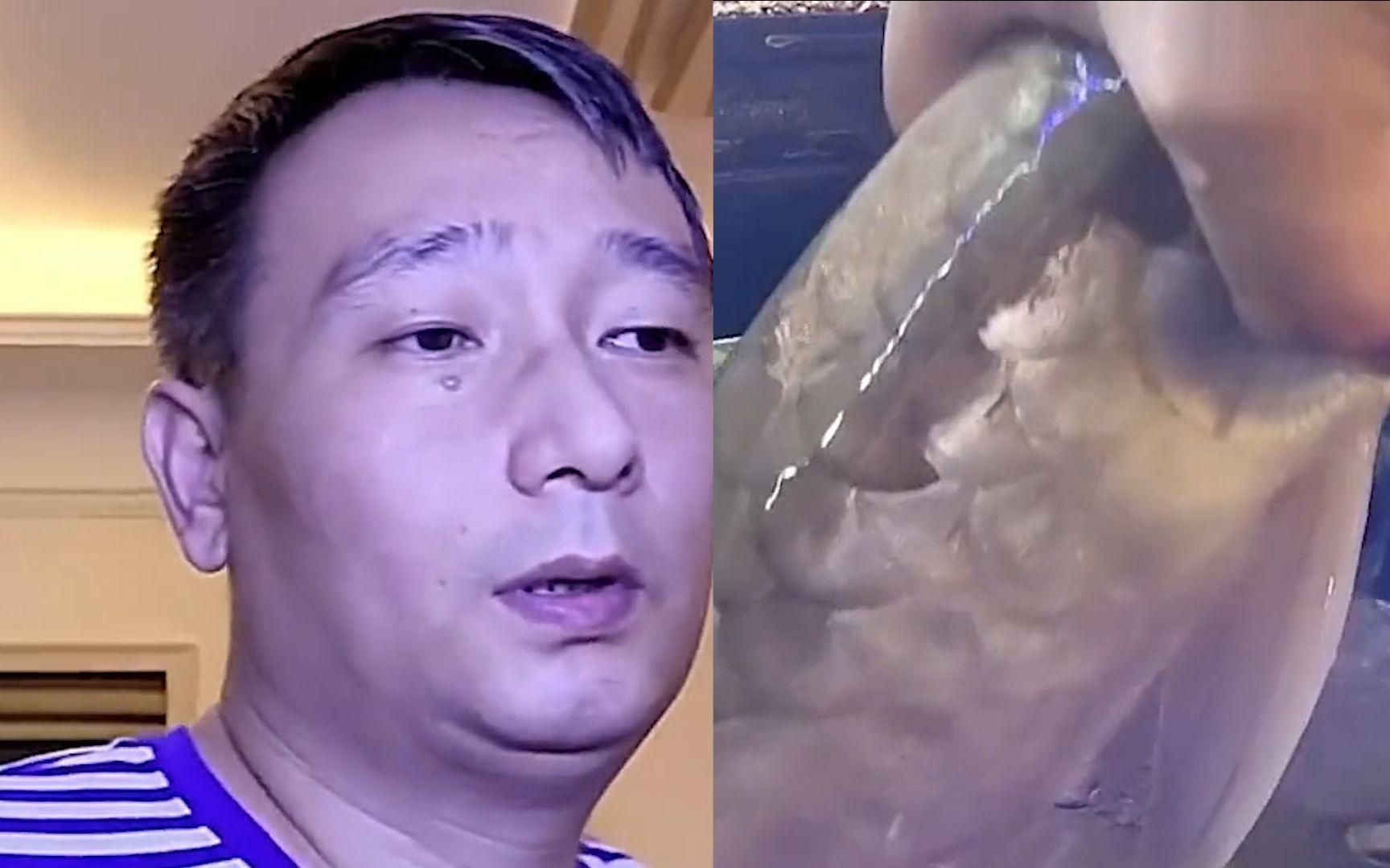 有沒有適合夏天吃的龍魚做法？，夏天吃龍魚，清爽開胃、低脂高蛋白，