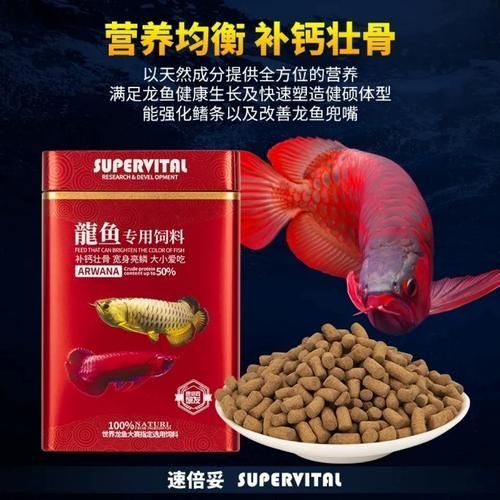 速倍妥龍魚飼料有哪些規格可選
