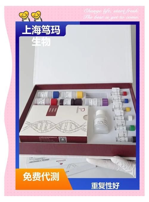 阿古斯貢拜龍魚有哪些飼養難點？，阿古斯貢拜龍魚的飼養