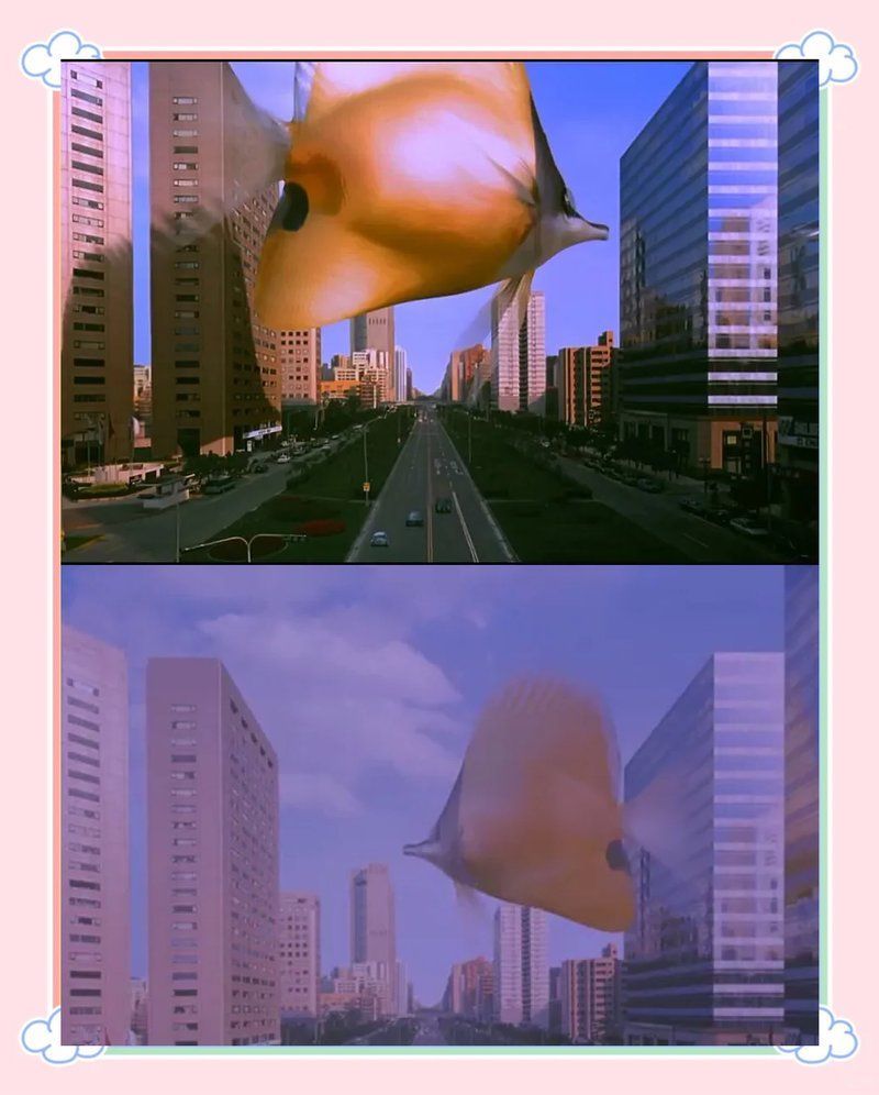 《龍魚》和《熱帶魚》分別講什么，《龍魚》與《熱帶魚》