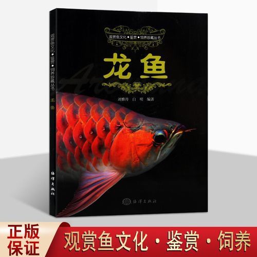 《龍魚》和《熱帶魚》分別講什么，《龍魚》與《熱帶魚》