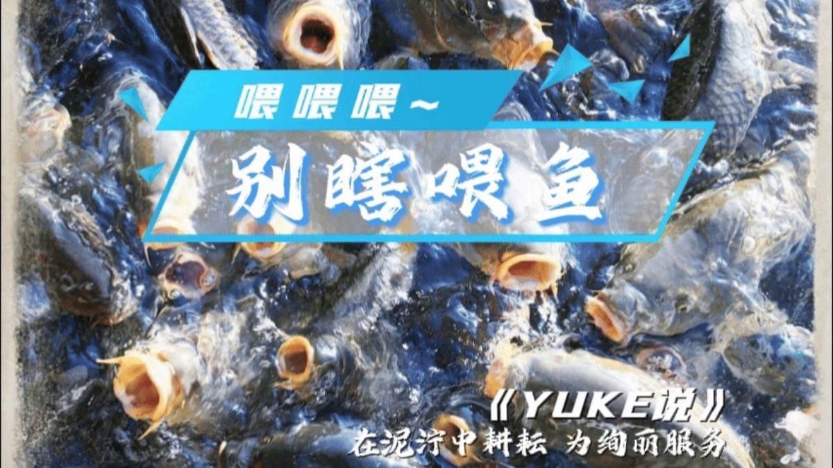 有哪些養魚口訣是通用的