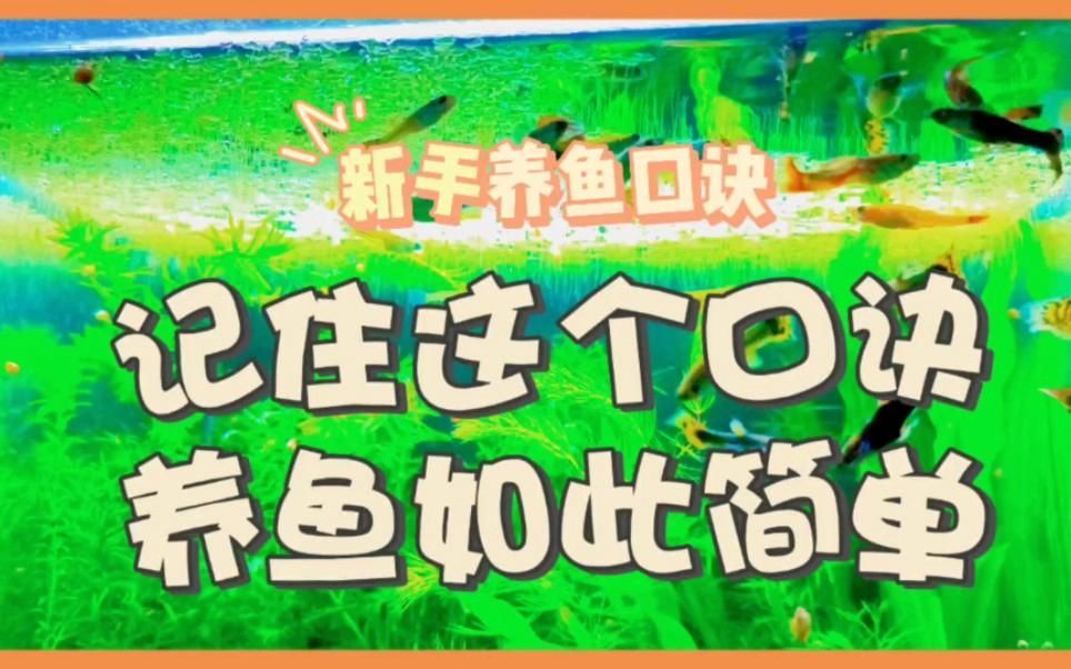 有哪些養魚口訣是通用的
