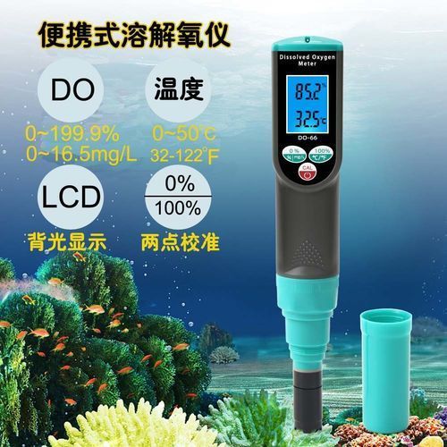 缺氧魚急救后如何護理，缺氧魚急救后如何護理缺氧魚急救后護理全流程指南