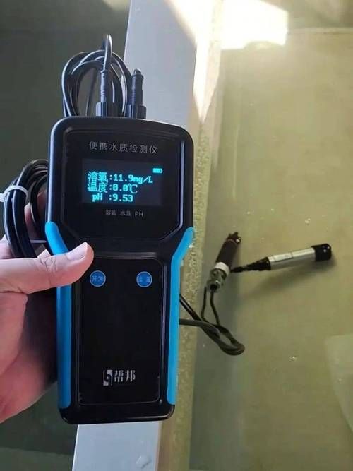 缺氧魚急救后如何護理，缺氧魚急救后如何護理缺氧魚急救后護理全流程指南