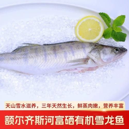 雪龍魚有哪些認證？，雪龍魚有哪些認證