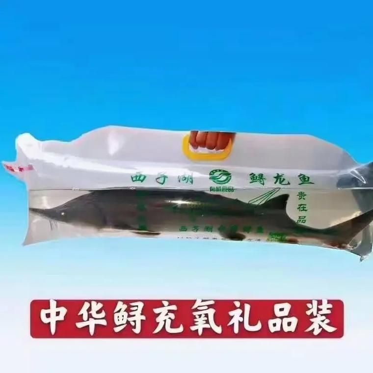 雪龍魚有哪些認證？，雪龍魚有哪些認證