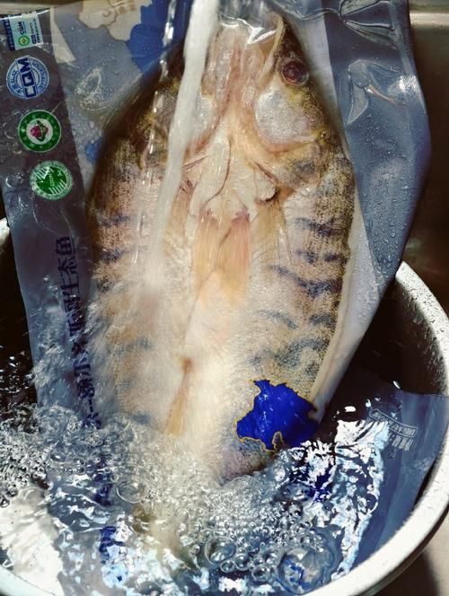雪龍魚有哪些認證？，雪龍魚有哪些認證