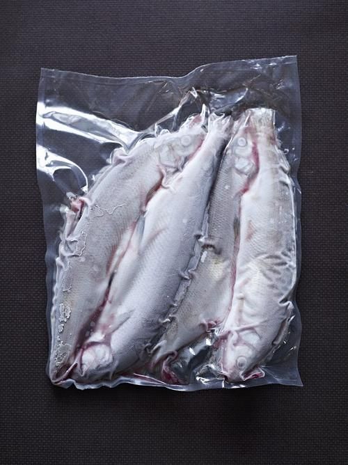 雪龍魚有哪些認證？，雪龍魚有哪些認證