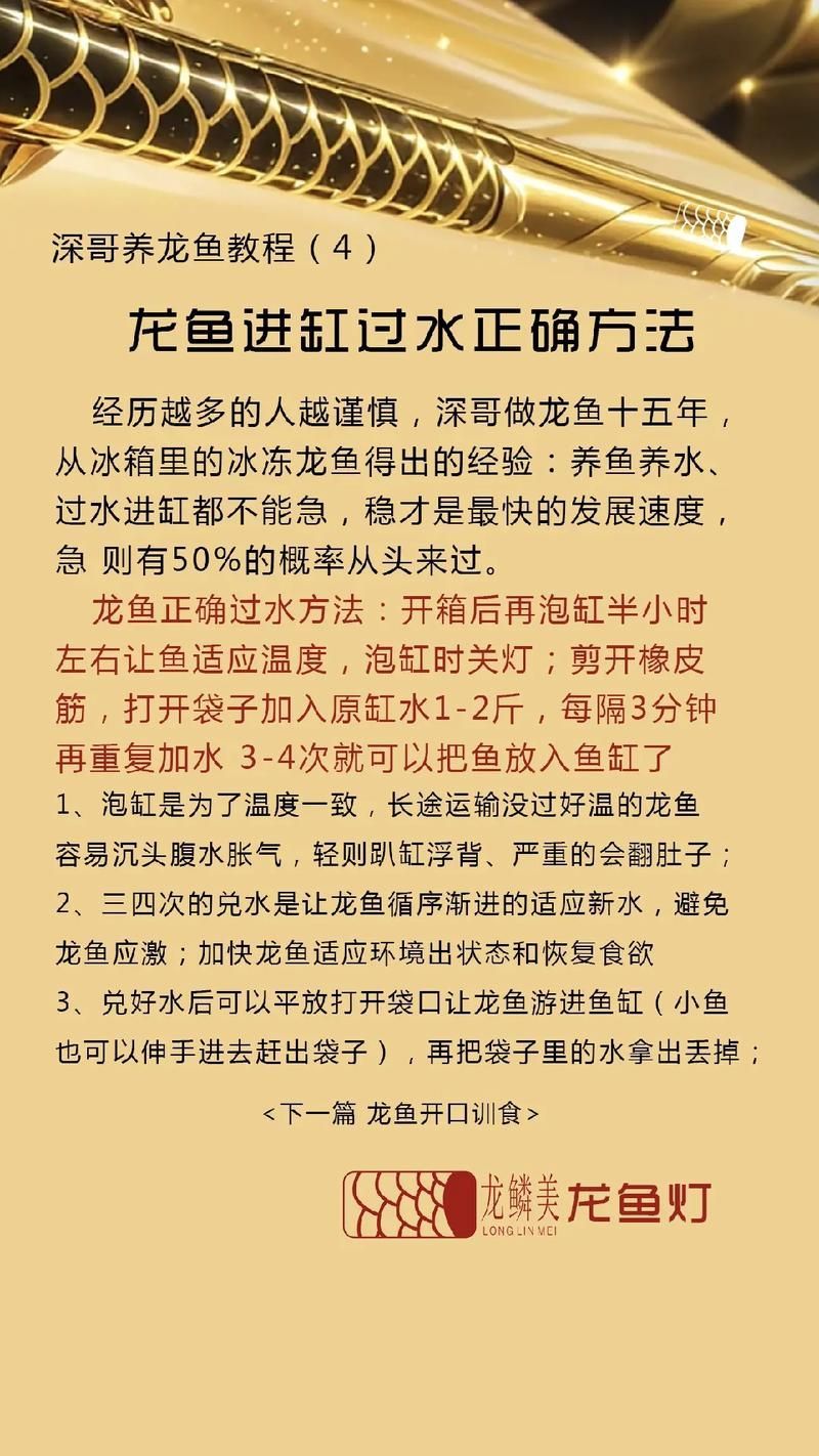 網(wǎng)購(gòu)龍魚(yú)有哪些注意事項(xiàng)？，紅龍/金龍/金龍/金龍/銀龍/金龍/銀龍