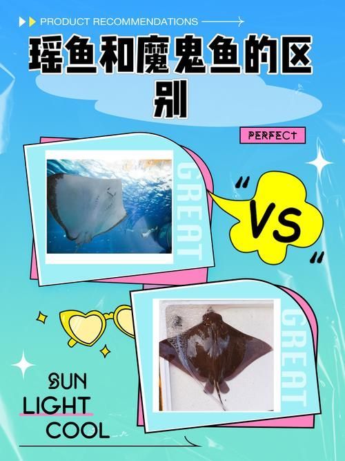紅頭利魚多久能區(qū)分性別？，紅頭利魚性別區(qū)分